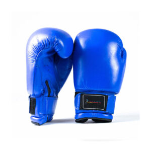 Blue Boxing Gloves